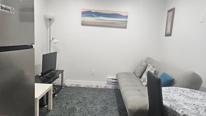 Newly Built Private Suite Regina - Regina