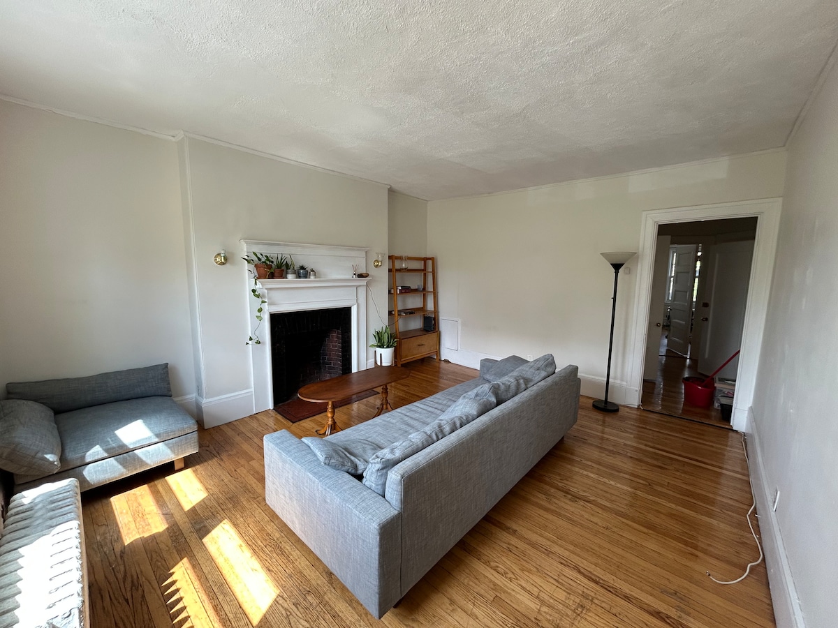 A spacious living area showcases light-colored walls and polished wooden floors. A comfortable gray sofa and an armchair are positioned to encourage conversation. A decorative fireplace with plants above adds a focal point, while a lamp stands quietly in a corner. Natural light fills the room.