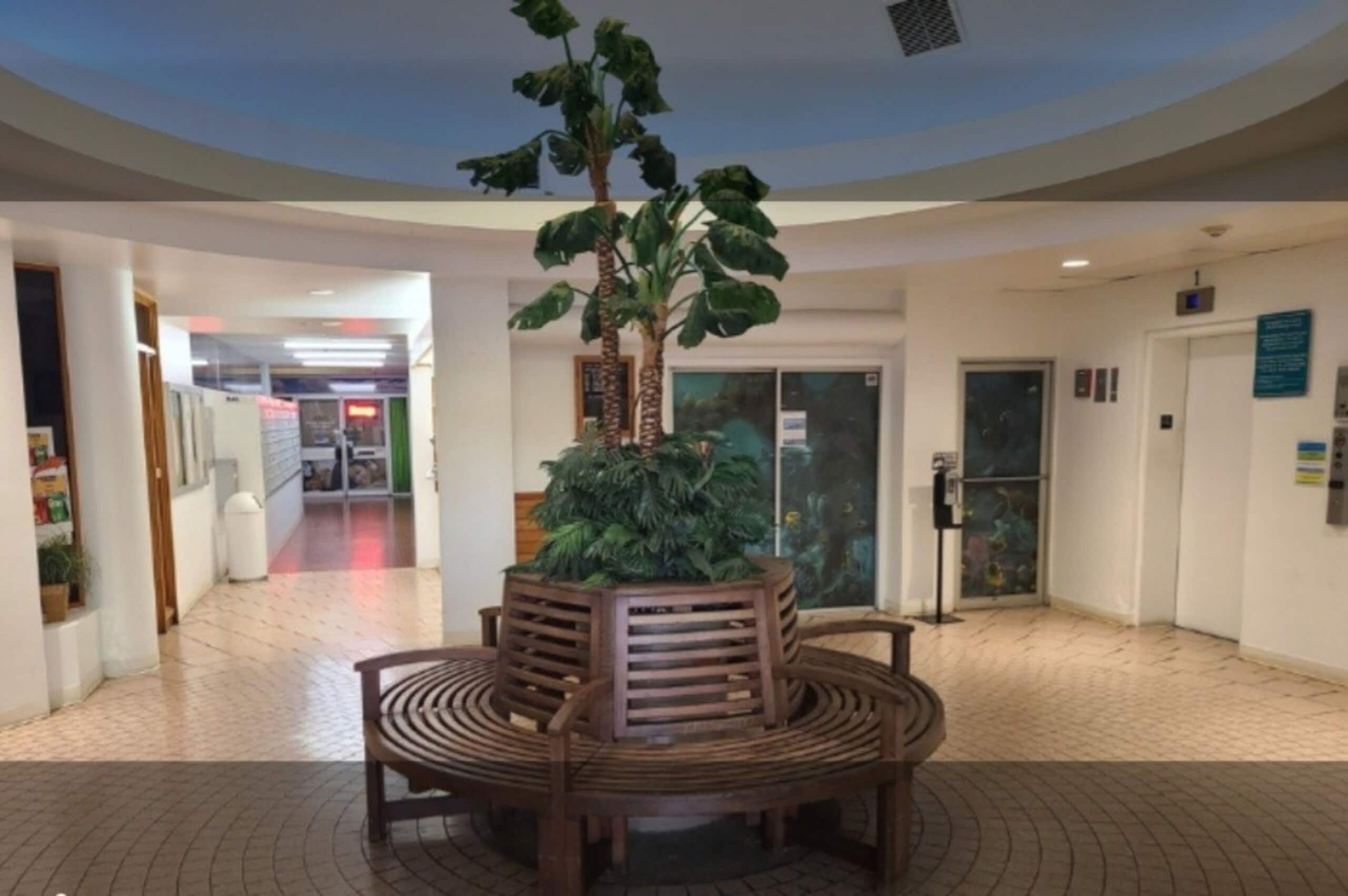 Condo in Honolulu · ★5.0 · Studio · 1 bed · 1 bath - Image 17