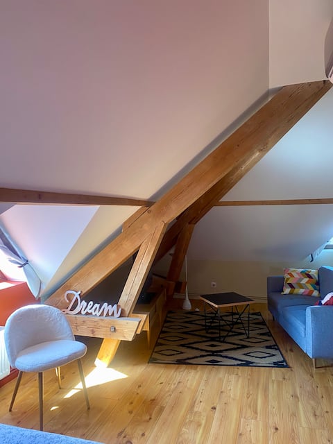 Successful Airbnb property: Cozy 40 m² Air-Conditioned-Free Parking-Queen-Size Bed in Annecy