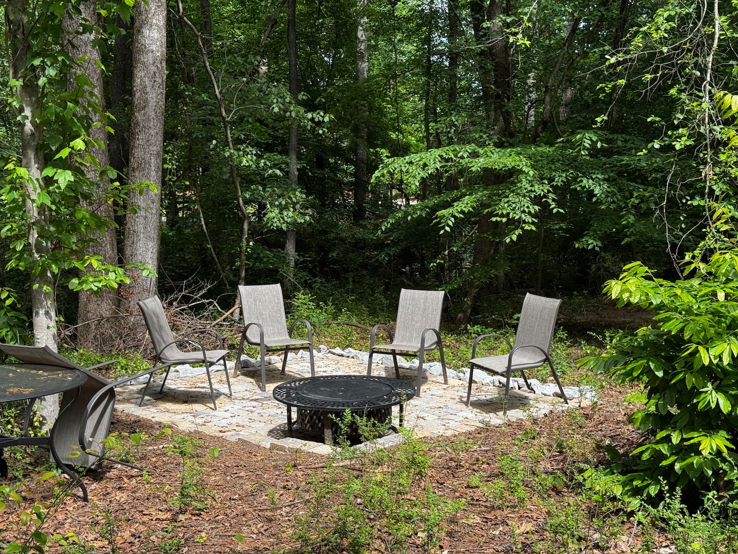 Nature Escape