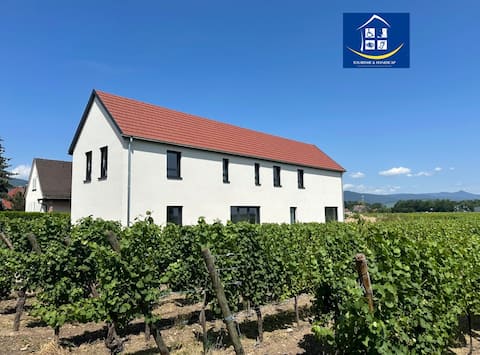 Colmar & co in the heart of the vineyards