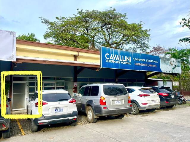 Apartamento Nuevo HV Cavallini-Tamarindo