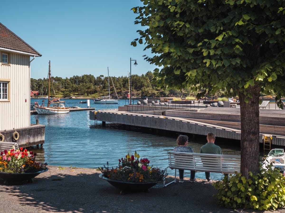 A serene waterfront scene is depicted, featuring two individuals seated on a white bench near a tree. Colorful flower pots are positioned in front of the bench. The harbor is visible in the background with boats and piers, surrounded by lush greenery and a clear blue sky.
