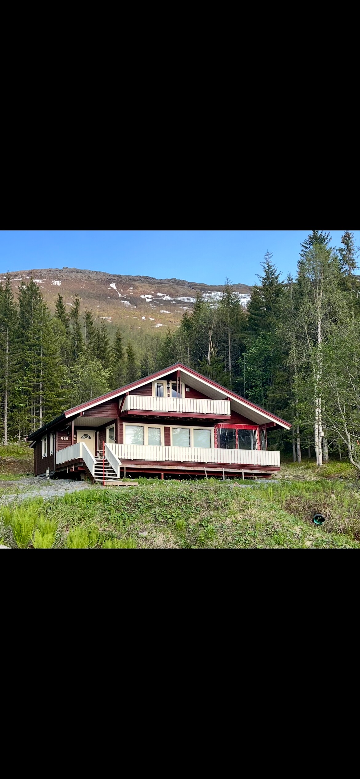 A charming cabin is situated amidst lush greenery, surrounded by tall trees and mountain views. The structure features a sloped roof, a spacious porch with large windows, and steps leading to the entrance, reflecting a blend of natural beauty and rustic architecture.