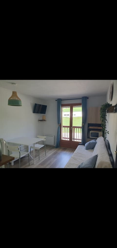 Successful Airbnb property: Mountain apartment in Albiez Montrond