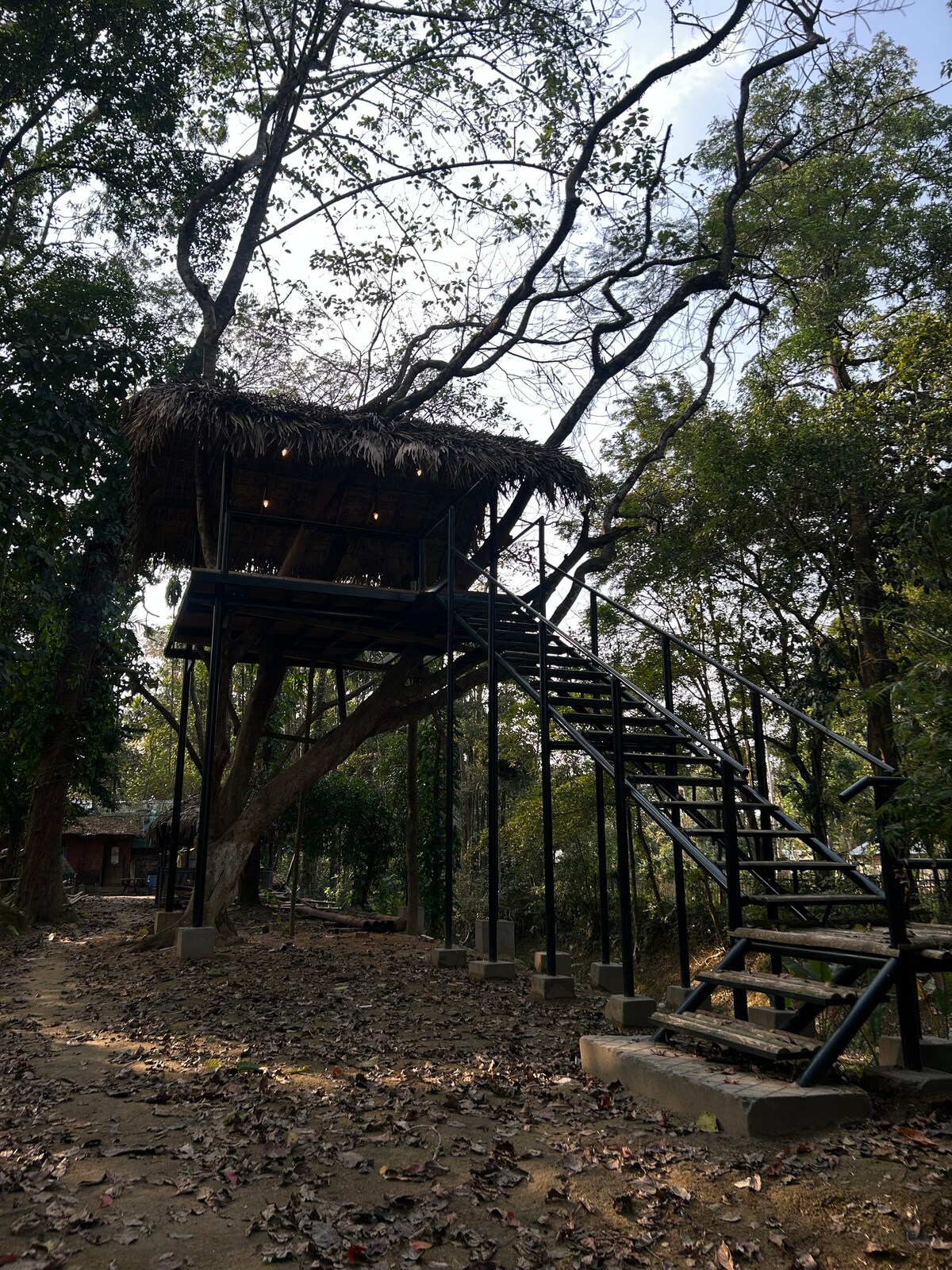 A treehouse elevated among trees features a thatched roof and large windows. A sturdy staircase leads from the ground to the entrance, surrounded by a natural landscape of trees and fallen leaves, enhancing the serene surroundings.