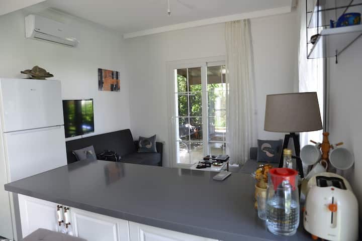 Müstakil 1+1 Villa Merkezde - Datça