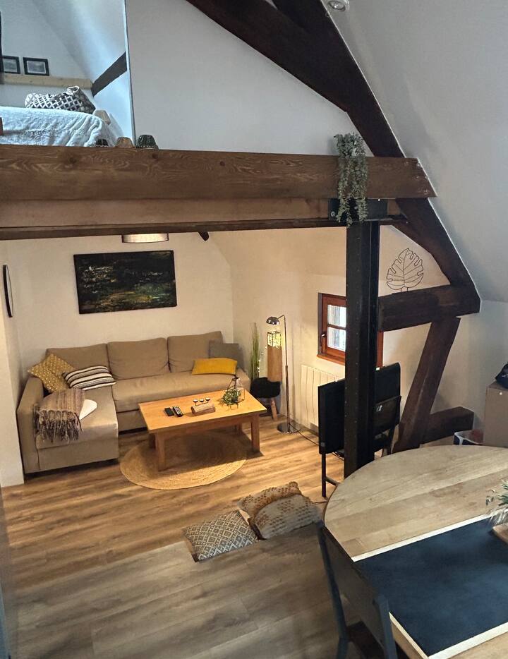 Le Petit Schopf Du Vigneron Bergheim Alsace 8 Pers - Riquewihr