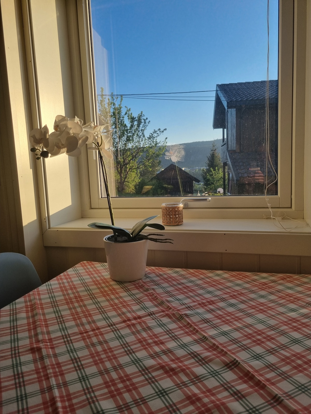 A well-lit table is covered with a checkered tablecloth, featuring a potted orchid and a decorative candle. Natural light streams through a large window, illuminating a view of greenery and distant structures beyond.