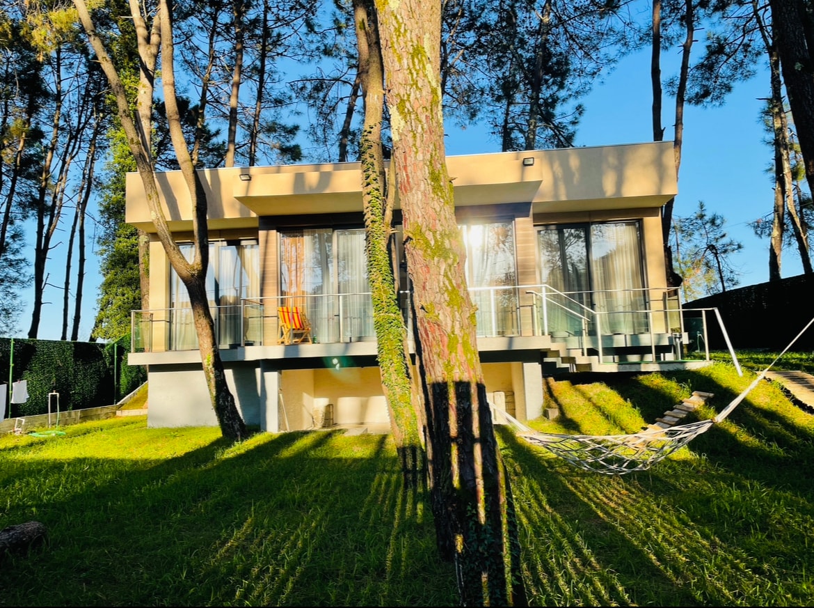 A modern house is set amidst tall trees, showcasing large glass windows that reflect the surrounding greenery. A hammock hangs between two trees in the well-maintained yard, which is bathed in sunlight, creating a peaceful and inviting outdoor space.