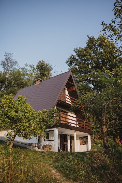 Forrest House
