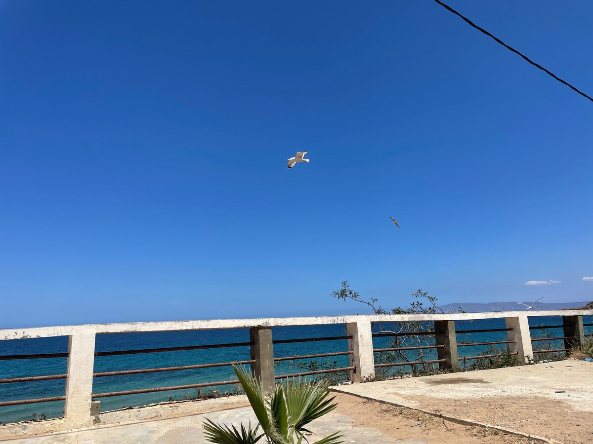 A view of the ocean is presented, with a clear blue sky above and gentle waves lapping against the shore. A concrete barrier runs along the edge, offering a glimpse of lush greenery in the foreground, while distant land forms a tranquil backdrop.