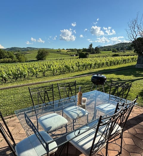 Amazing view of Vineyards & Volcanoes