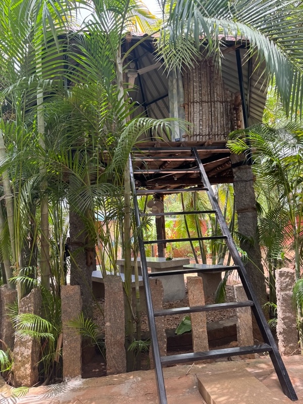 A rustic treehouse structure is nestled among lush greenery, showcasing a sturdy ladder leading to its entrance. The building features a corrugated roof and is surrounded by tall palm leaves, offering a sense of seclusion within nature.
