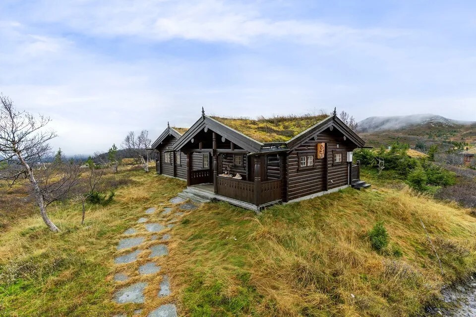 The cabin is positioned on a gentle slope, surrounded by tall grasses and natural vegetation. Stone pathways lead to the entrance, with a grassy roof blending into the landscape. Large windows allow for ample natural light, enhancing the connection with the outdoors.