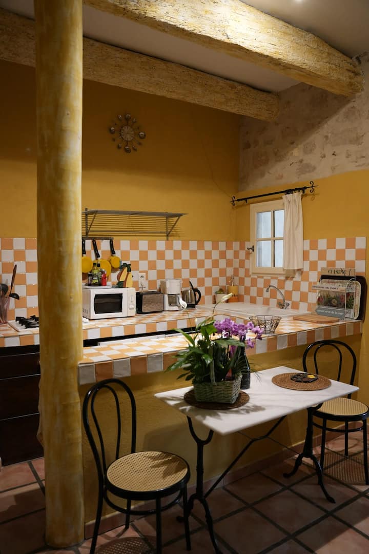 Appartement Arles - Saint-Gilles