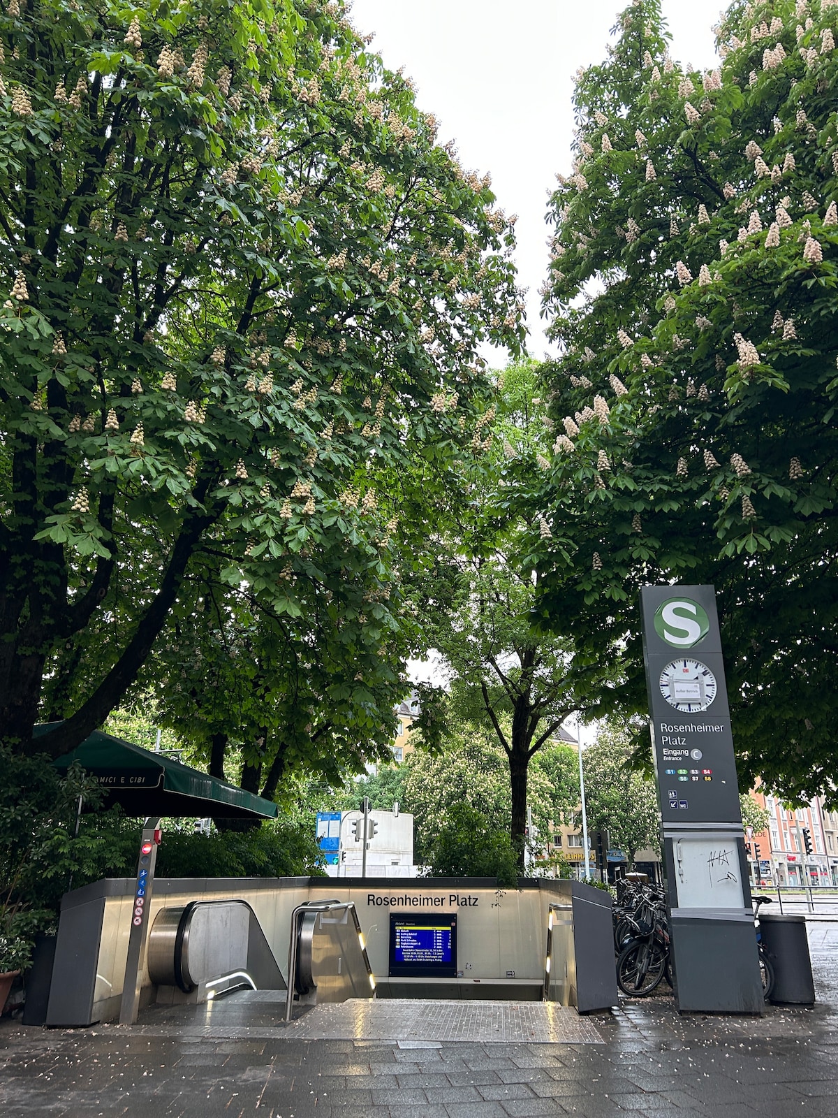 The entrance to the Rosenheimer Platz subway station is framed by lush trees. An electronic information board displays train schedules nearby. The area features modern escalators leading into the station, with a clean, paved walkway providing access. Bicycles are parked at the side.