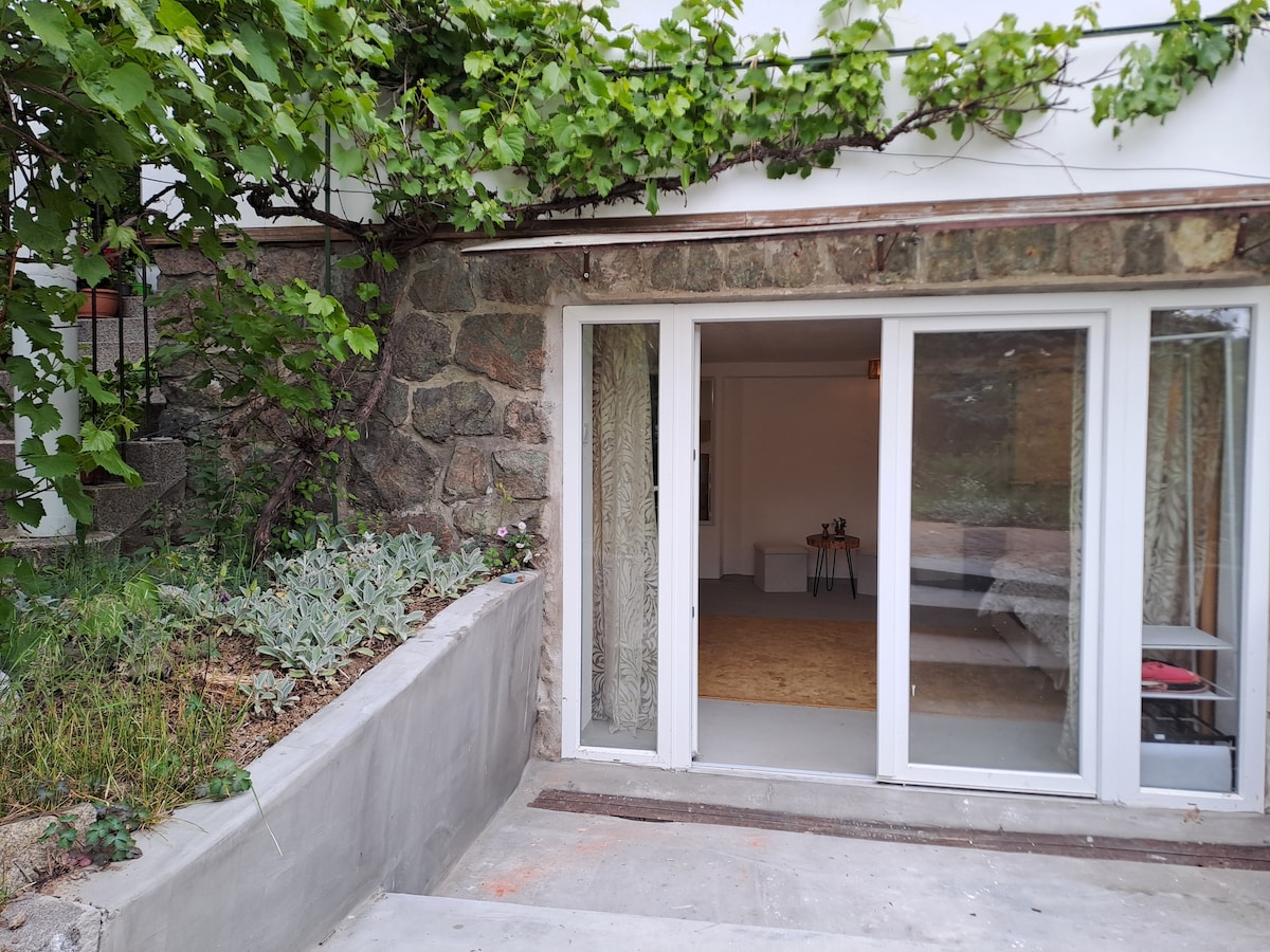 The entrance to a spacious studio apartment is framed by lush greenery, with sliding glass doors providing access to the interior. A stone wall adds character, while the surrounding area features minimal landscaping and a clean, welcoming pathway leading to the entrance.
