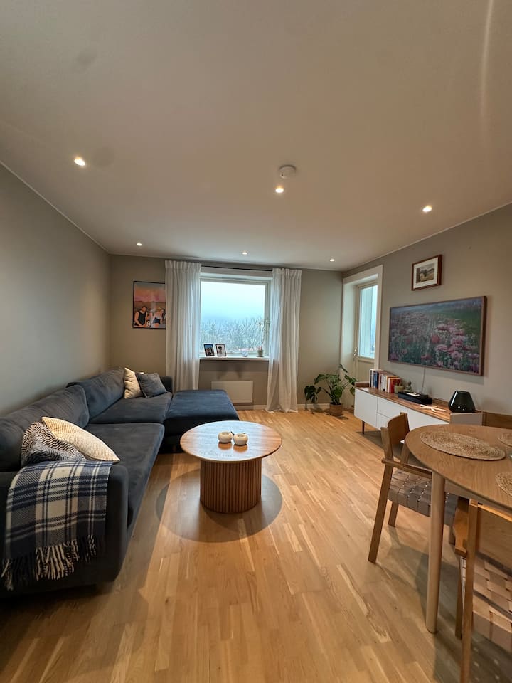 2br Apartment Near Oslo Centre - Oslo