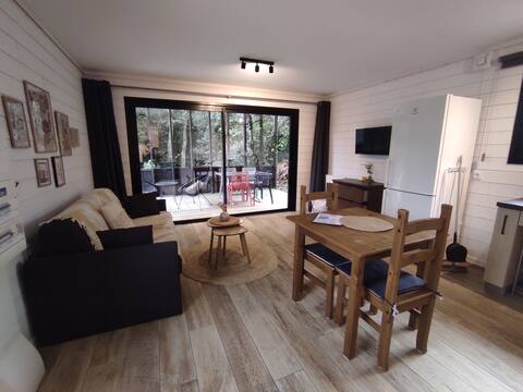 Propriété Airbnb réussie: Bright studio 2 steps from the lake à Lacanau