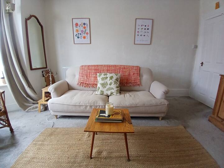 Homely Flat In Sheffield - Sheffield