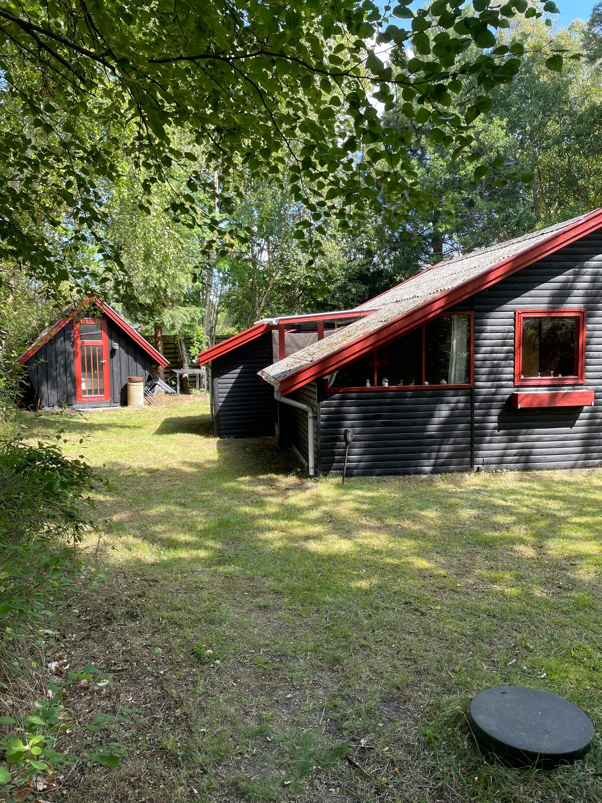 A charming black cottage with red accents is surrounded by lush greenery. The building features large windows that allow natural light to fill the interior. A smaller red-roofed structure is visible nearby, adding to the inviting outdoor space with grass underfoot.