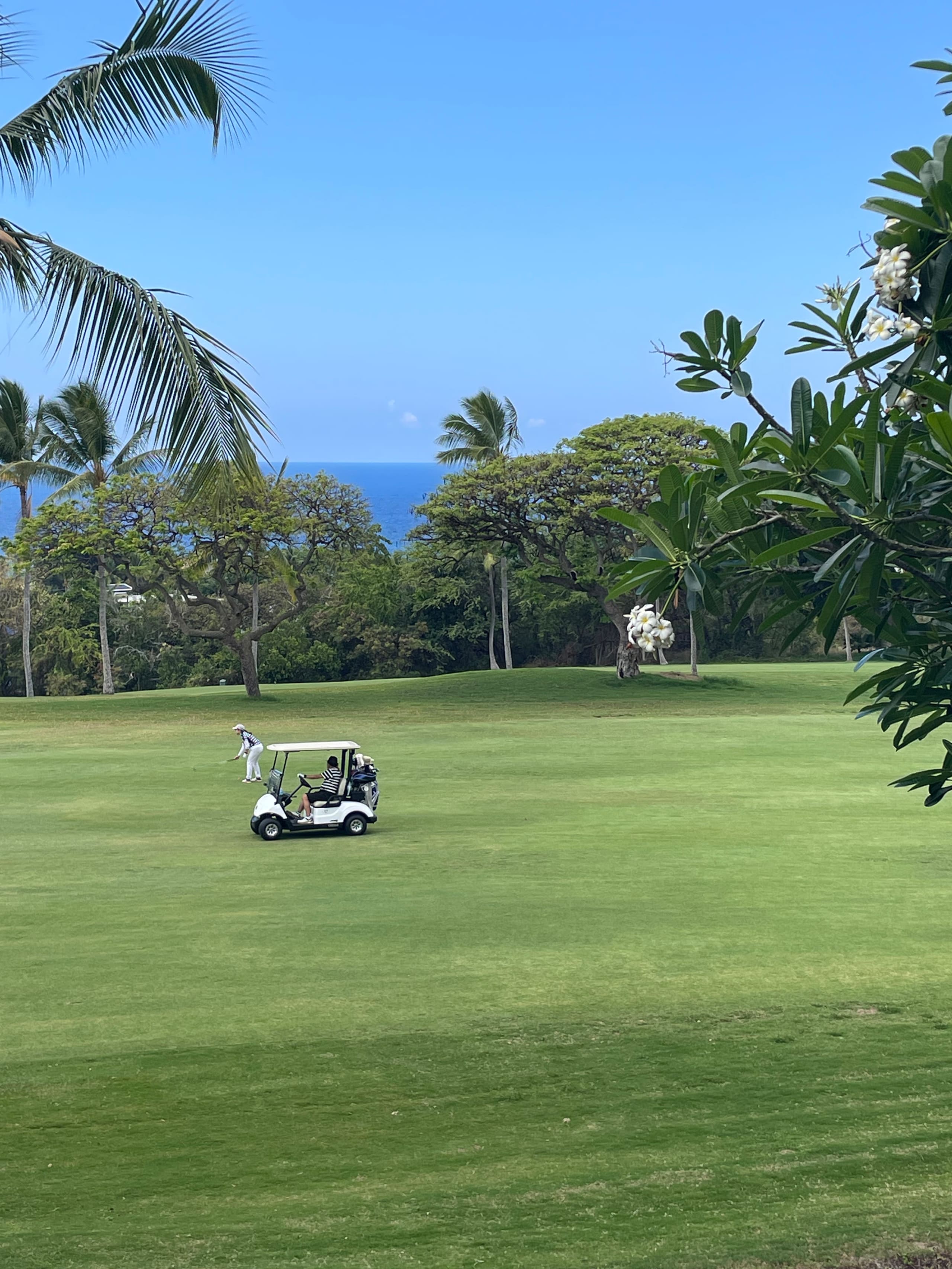 Condo in Kailua-Kona · ★5.0 · 2 bedrooms · 2 beds · 2 private baths - Image 57