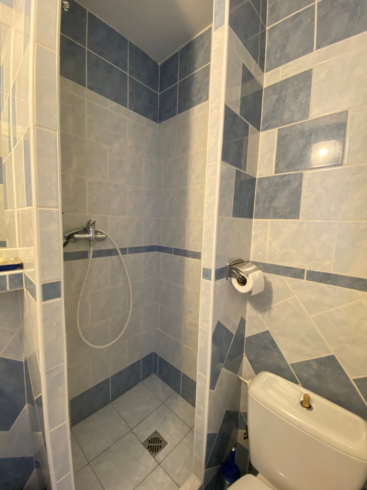 A modern shower area is enclosed by clear glass panels, featuring a blue and white tile design. A showerhead is mounted on the wall, and a toilet is positioned adjacent to the shower. Soft lighting illuminates the space, enhancing clarity.
