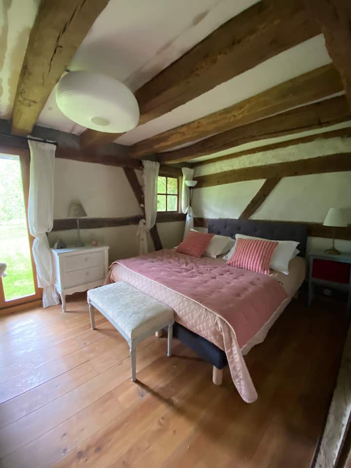 Habitación 1