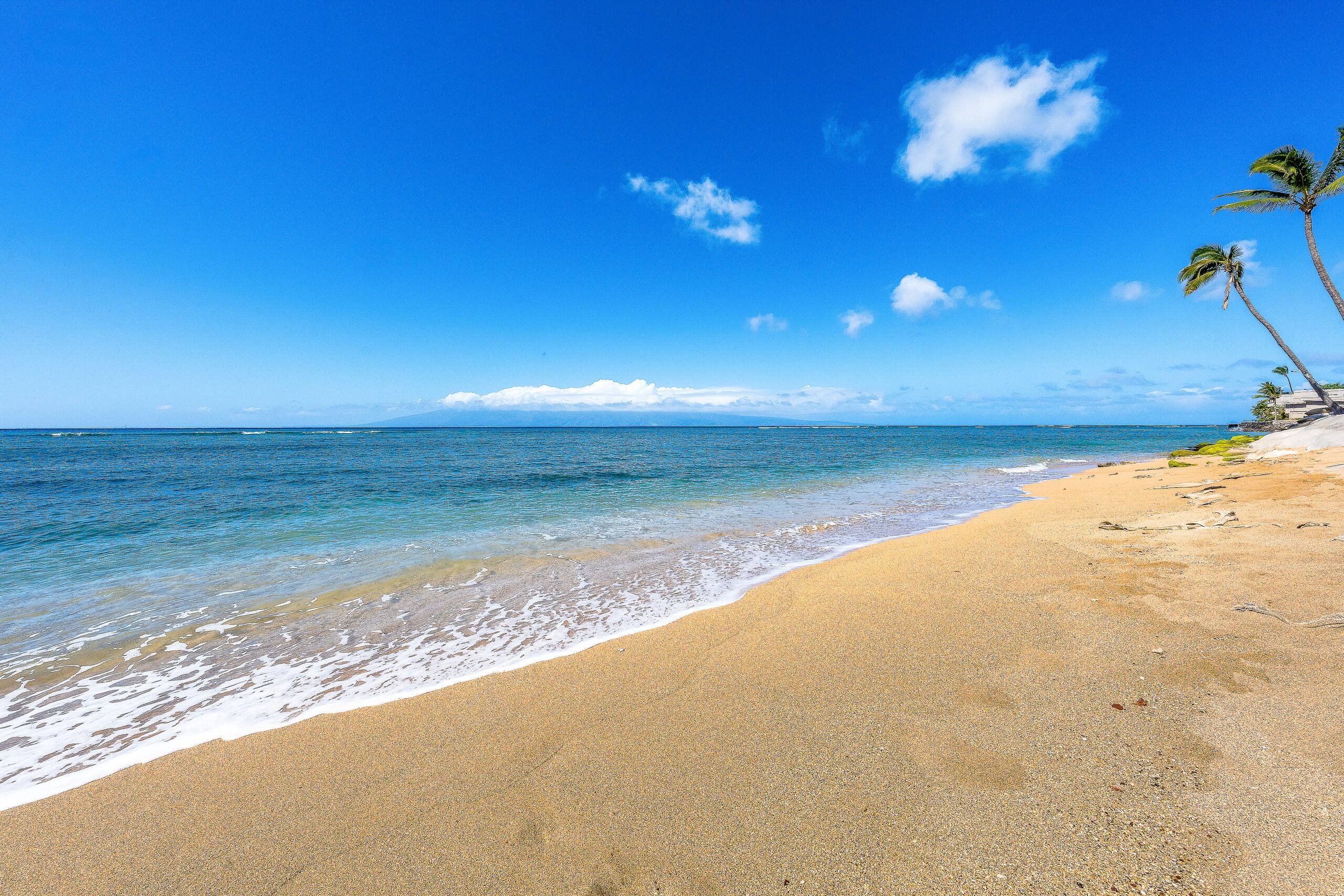 Condo in Lahaina · ★4.45 · 1 bedroom · 3 beds · 1 bath - Image 44