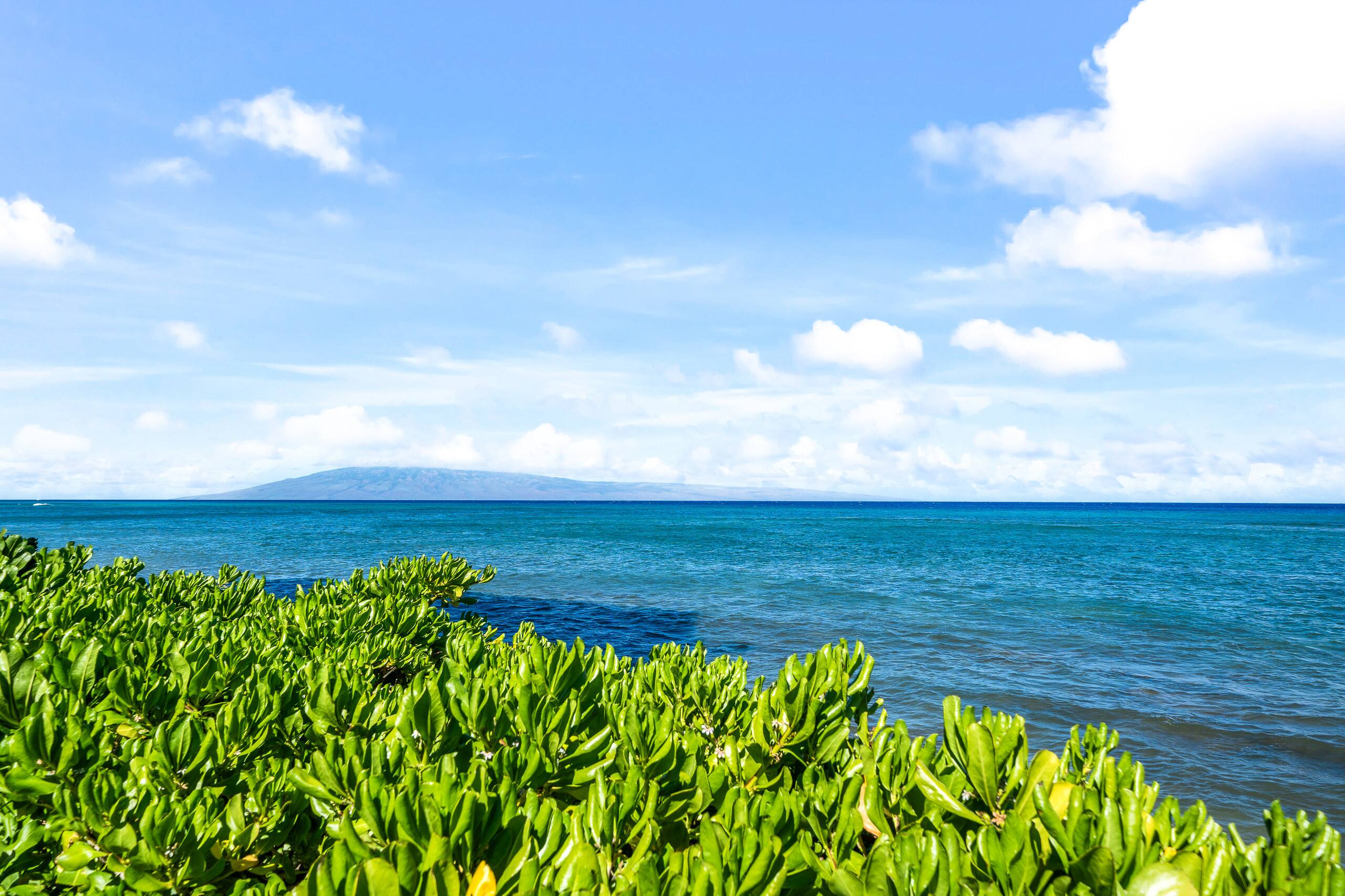Condo in Lahaina · ★4.45 · 1 bedroom · 3 beds · 1 bath - Image 42