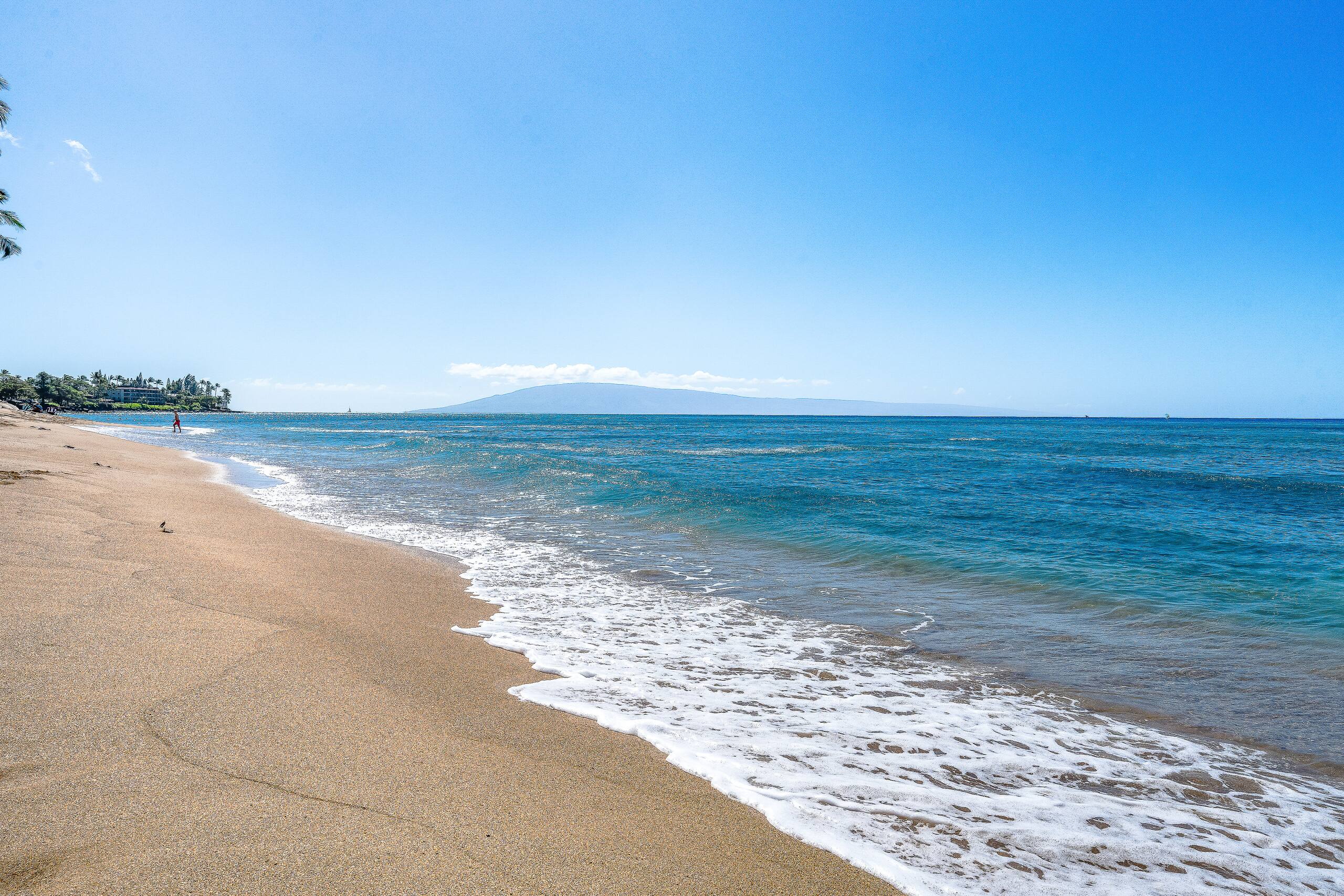 Condo in Lahaina · ★4.45 · 1 bedroom · 3 beds · 1 bath - Image 43