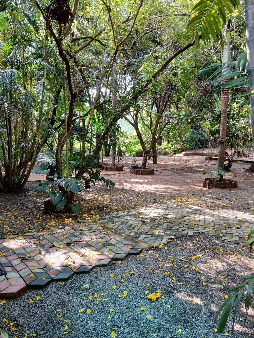 A tranquil garden path is lined with colorful paving stones, surrounded by lush green trees and plants. Fallen yellow petals are scattered on the ground, adding a natural touch to the serene outdoor space, where a sense of peacefulness can be experienced.