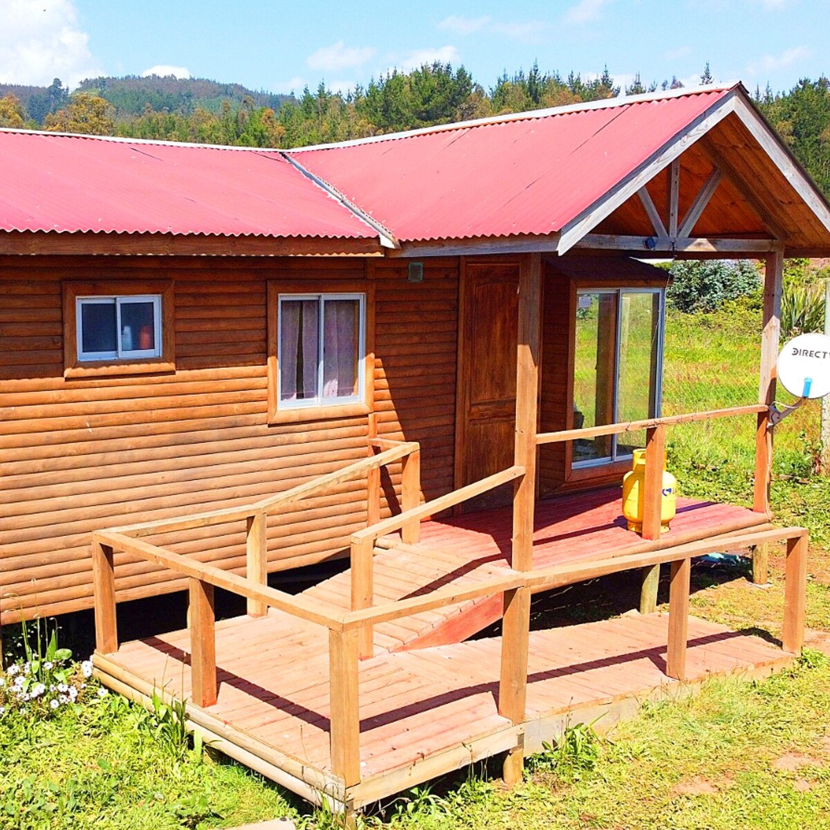 A wooden cabin with a red metal roof is displayed, featuring a wraparound deck with a wooden ramp for accessibility. Large windows allow natural light to enter, and the entrance is framed by wooden rails. Surrounding greenery complements the tranquil rural setting.