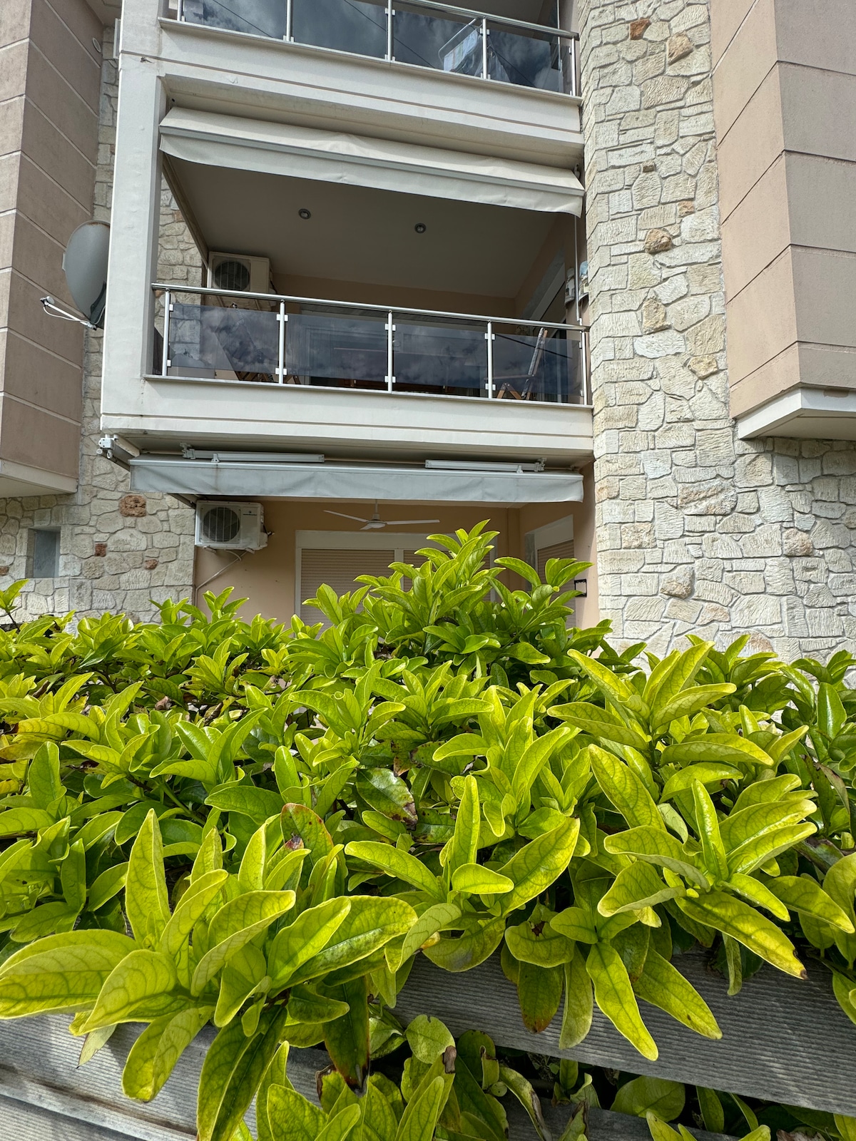 A well-maintained building facade features natural stone elements and modern balconies. Lush greenery frames the lower part of the image, fresh leaves contrasting against the building's materials, creating a sense of harmony between nature and architecture.