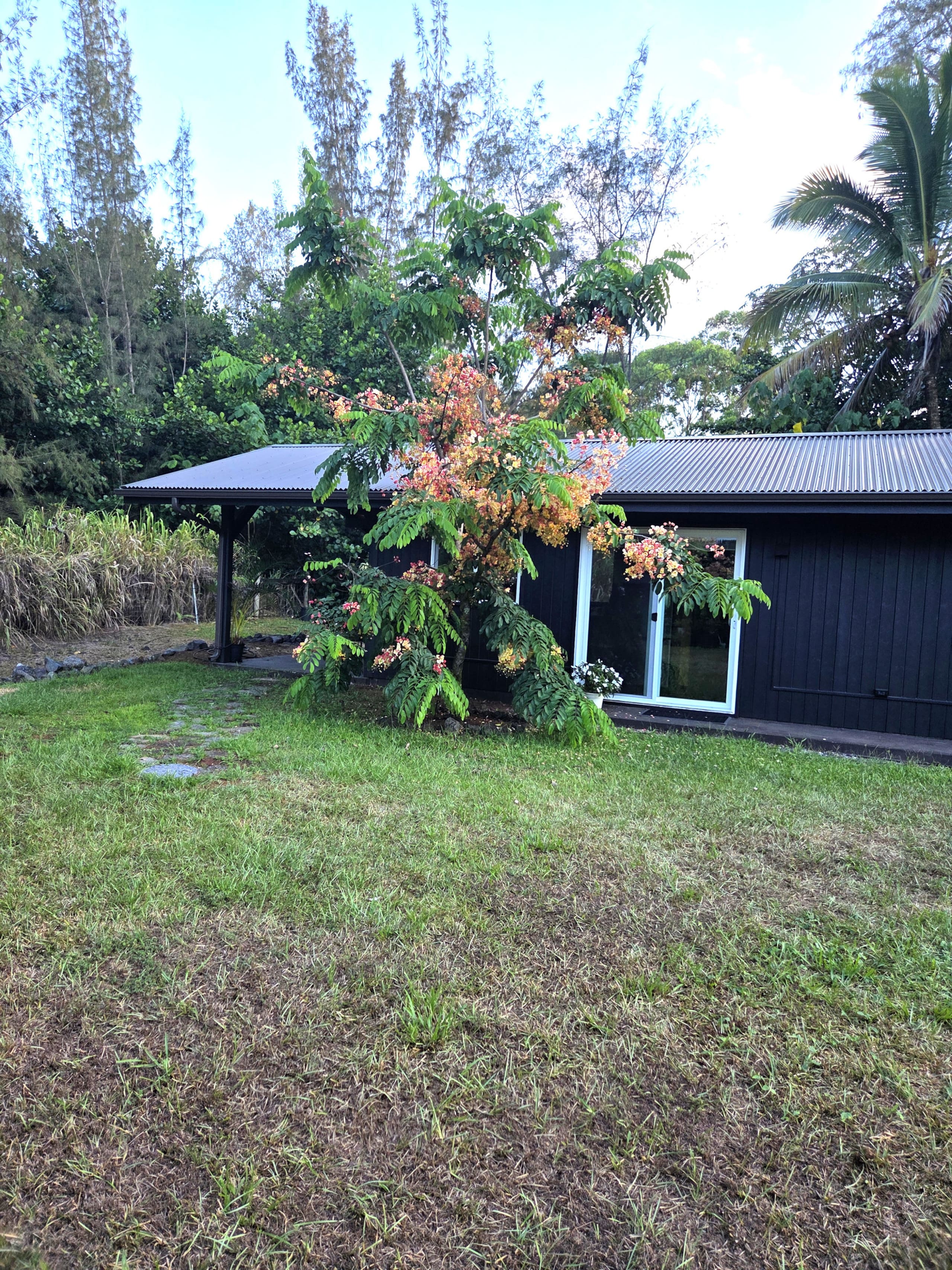 Cabin in Keaau · ★5.0 · 1 bedroom · 1 bed · 1 private bath - Image 14