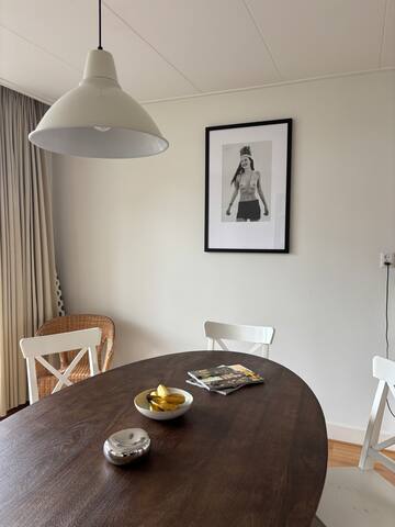 Spacious 2 bedroom flat Amsterdam Zuid gallery image 4