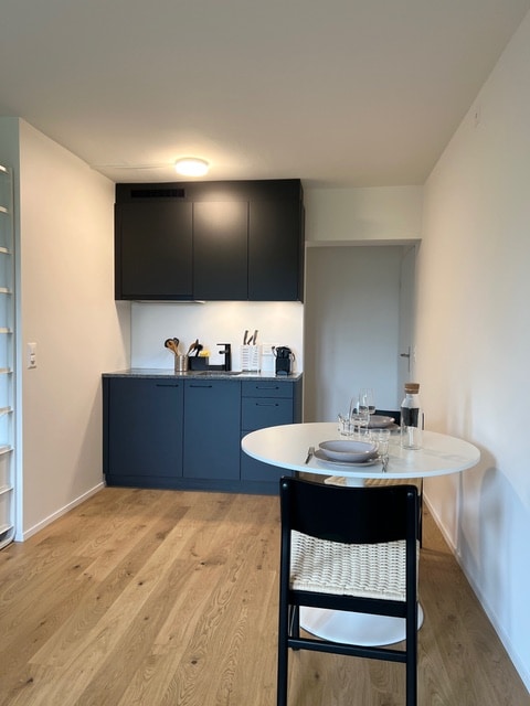 Top performing Airbnb: Modern Studio Bern "Gurten" in Bern