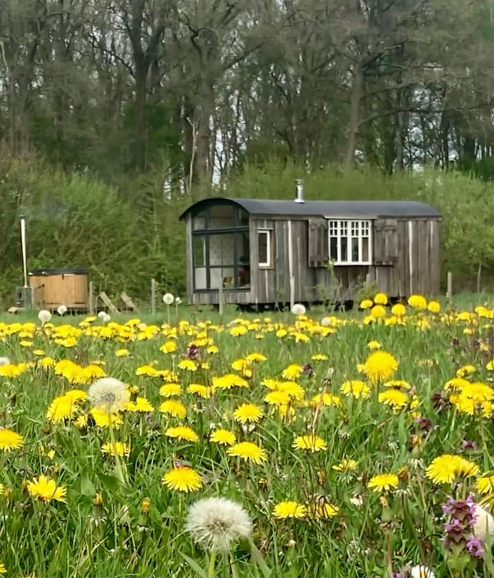 Romantisch Boomgaardhuisje Met Hottub/ Jacuzzi - Lochem