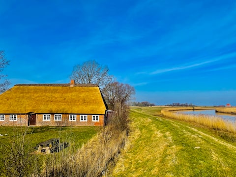 Idyllic house in Tøndermarsken