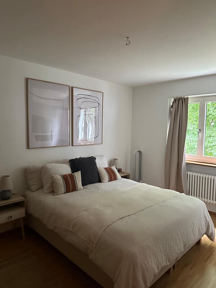 Charmant Logement Cosy - Zurigo