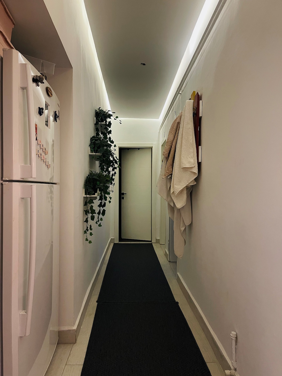 A narrow hallway is illuminated by soft overhead lighting, featuring a white wall with minimalistic decor. Greenery is displayed on wall-mounted shelves, and towels are neatly hung on hooks. A dark runner carpet lines the floor, leading to a closed door at the far end.