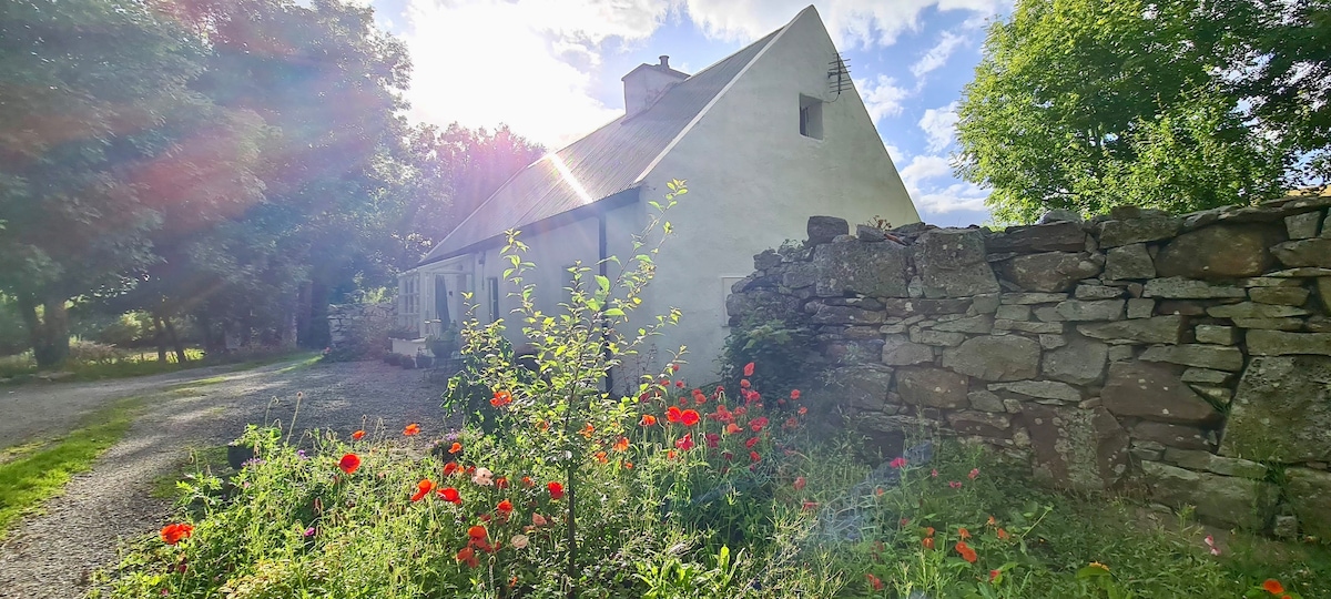 A rustic cabin is framed by vibrant wildflowers and a stony wall. The sun casts a soft glow over the structure, highlighting its natural setting among the greenery. The gravel path leads towards the entrance, inviting exploration of the tranquil surroundings.