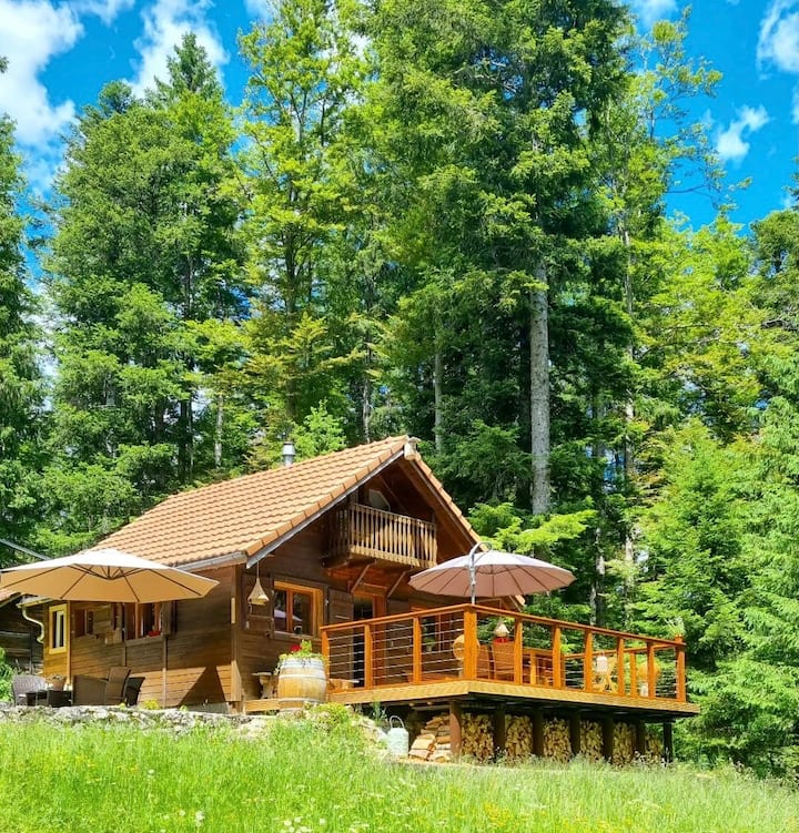 Peaceful oasis in the forest