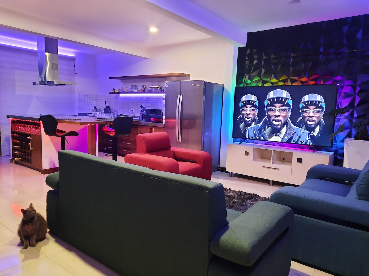 A modern living area is showcased with a sleek kitchen in the background. Colorful LED lighting enhances the space, while a large wall-mounted television is placed prominently. Comfortable seating is arranged in a welcoming manner, accompanied by a small pet on the floor.