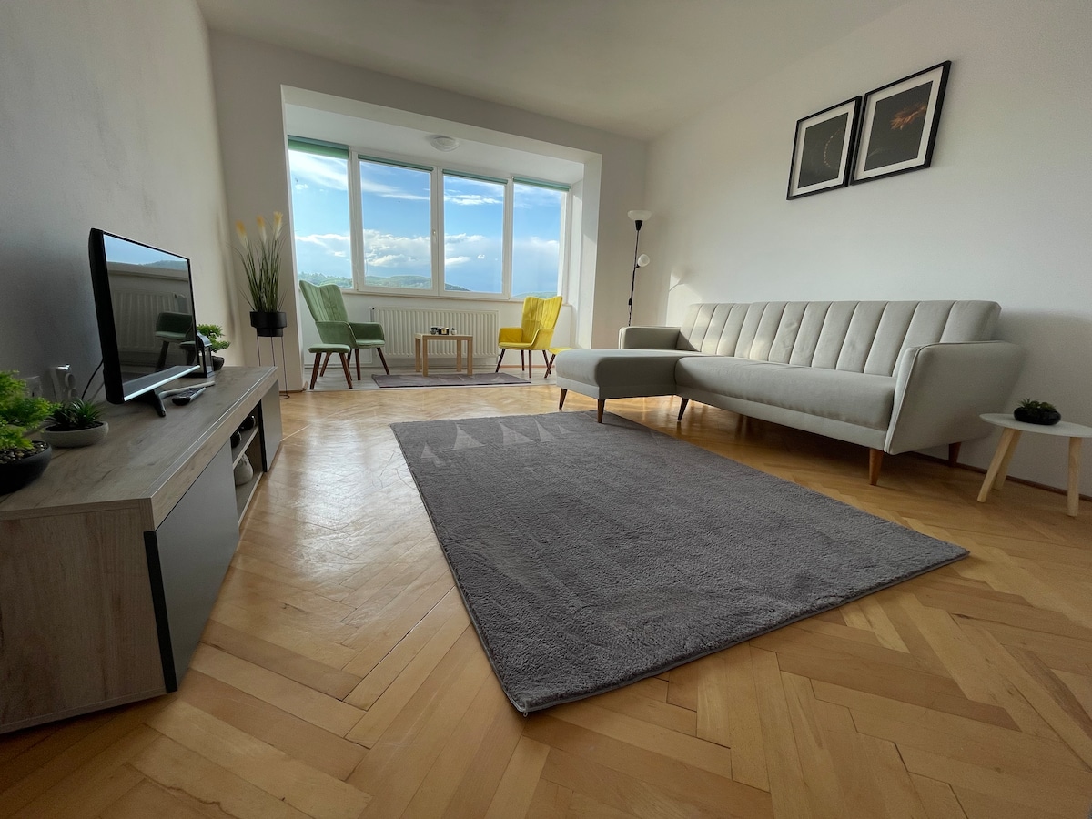 A bright living area features a comfortable gray sofa and a cozy armchair set against large windows, framing a distant view. A soft gray rug covers the wooden floor, while a television and small side table complete the minimalist decor.