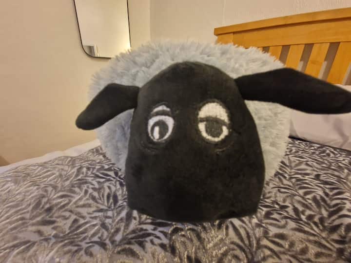 საძინებელი 4