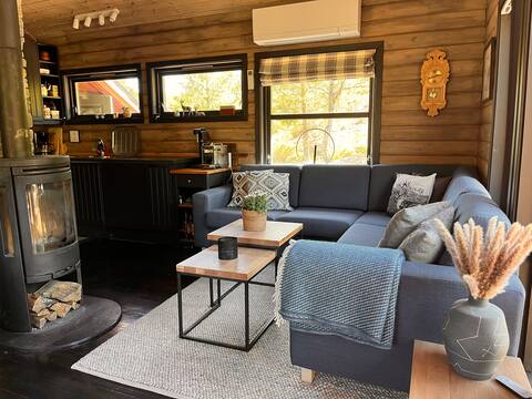 Popular Airbnb listing: Family cabin in the mountains with spectacular nature in Agder