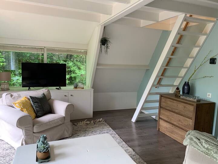 Birdie Forest Lodge - Voor Golf & Mtb, Met Berging - Durbuy